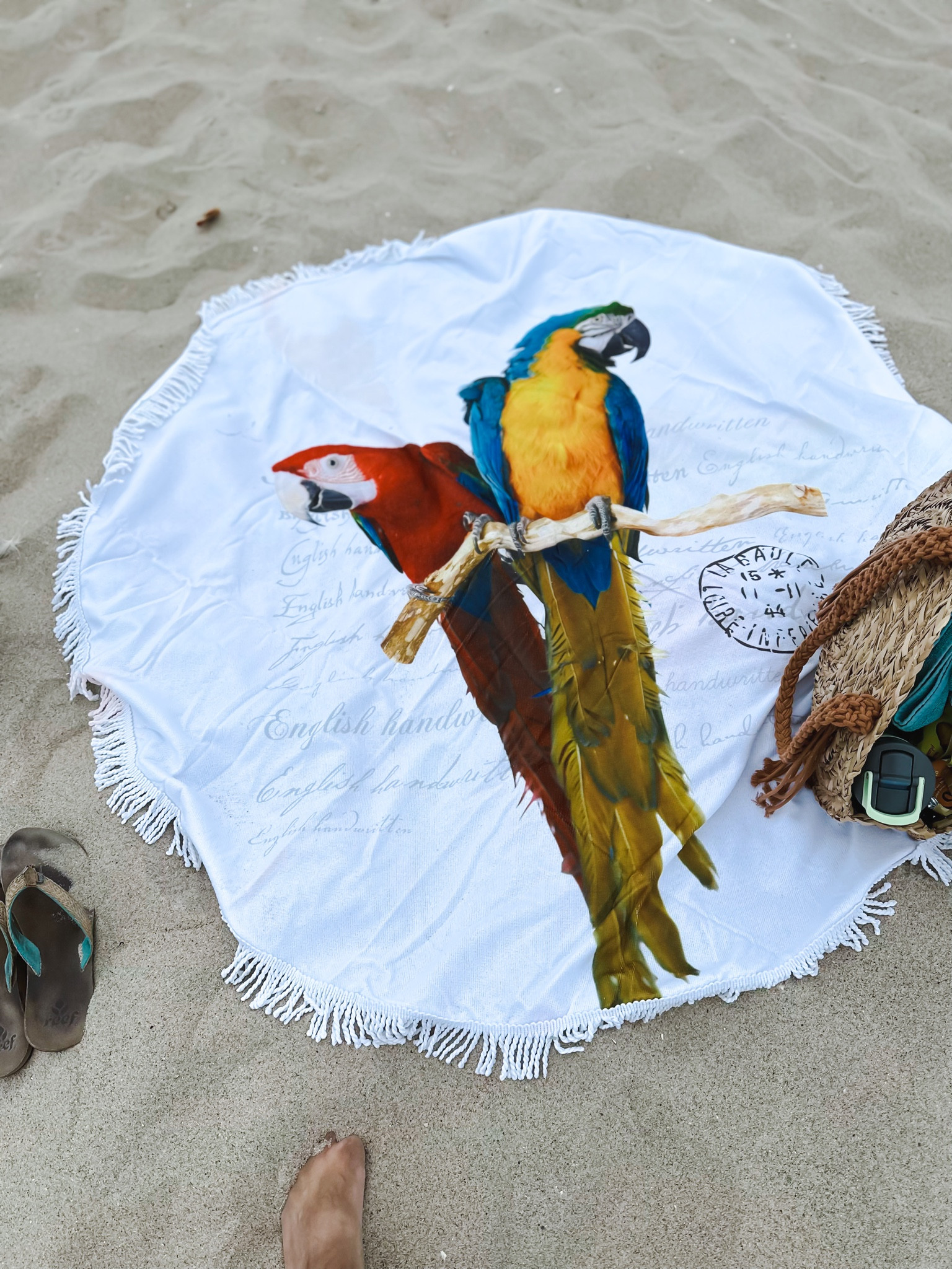 Vanity Macaw print beach bag