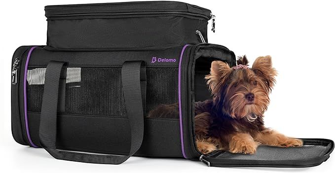 Pet Carrier - Airline Approved Cat and Dog Carrier for Small Dogs, Medium Dogs - Durable Dog Trav... | Amazon (US)