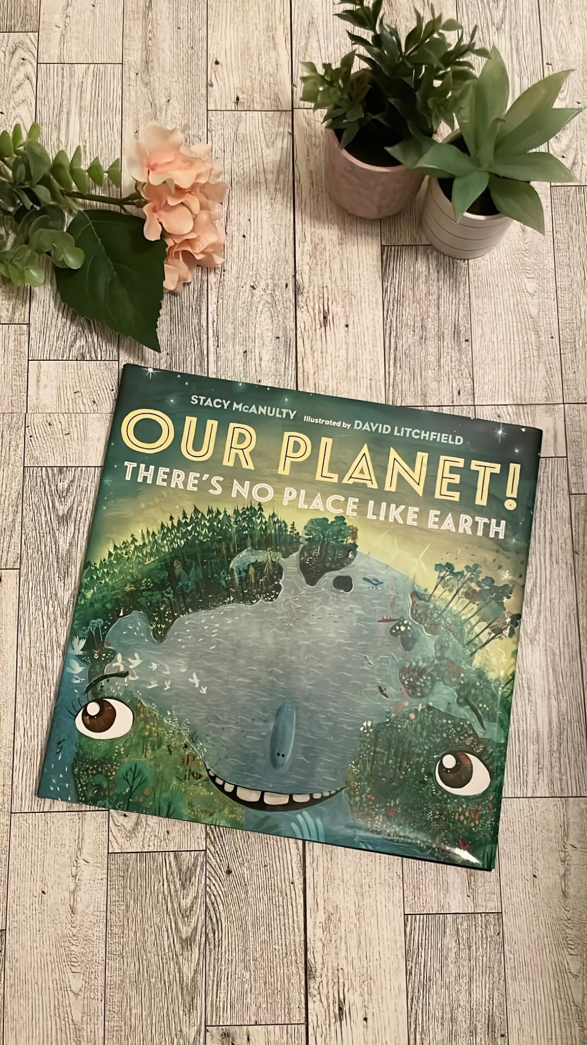 Found the best book to teach about Earth Day! @Target 

#LTKstorytime #LTKKids