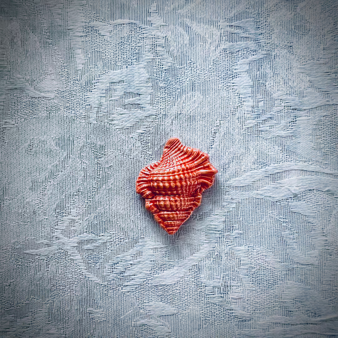 Orange Ceramic Shell, Hand Painted Art Tile, Seascape Mosaic Supply | Etsy (US)