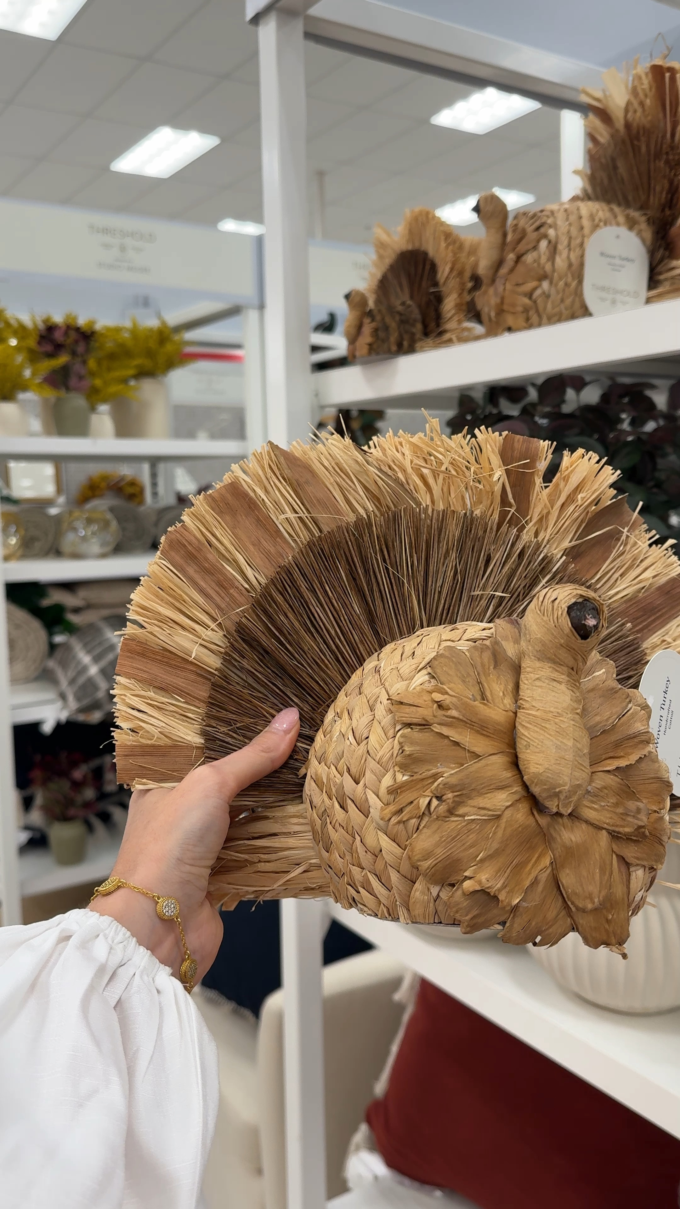 It’s a need! Fall decor // turkey decor // thanksgiving decor 

#LTKVideo #LTKSeasonal #LTKFindsUnder50