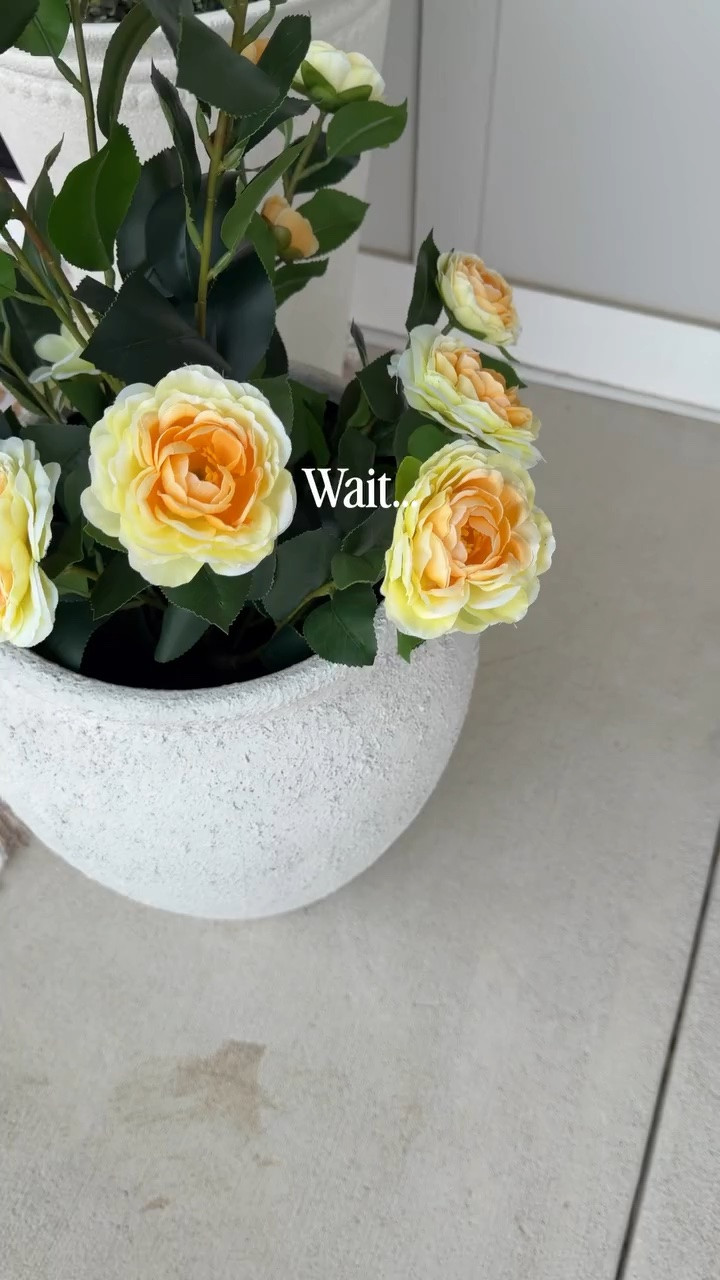 And affordable from AMAZON ✨ type FLOWERS👇🏻and I’ll send them to your inbox! 

Forget the watering and the maintenance! These faux camellias are perfect for your Spring porch and will last year after year. And did I mention they are affordable!

As an #amazonpartner I may earn a commission when shopping through my links, at no extra cost to you 🤍

#fauxflowers #founditonamazon #porchdecor #amazonfinds