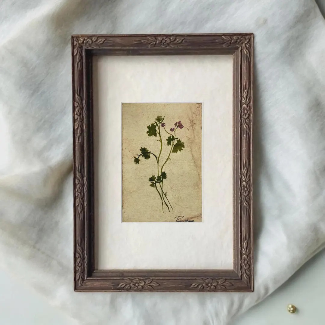 Original Hand-painted Botanical Fine Art Print – Vintage Plant Study, Moody Herbarium Wall Art,... | Etsy (Global)