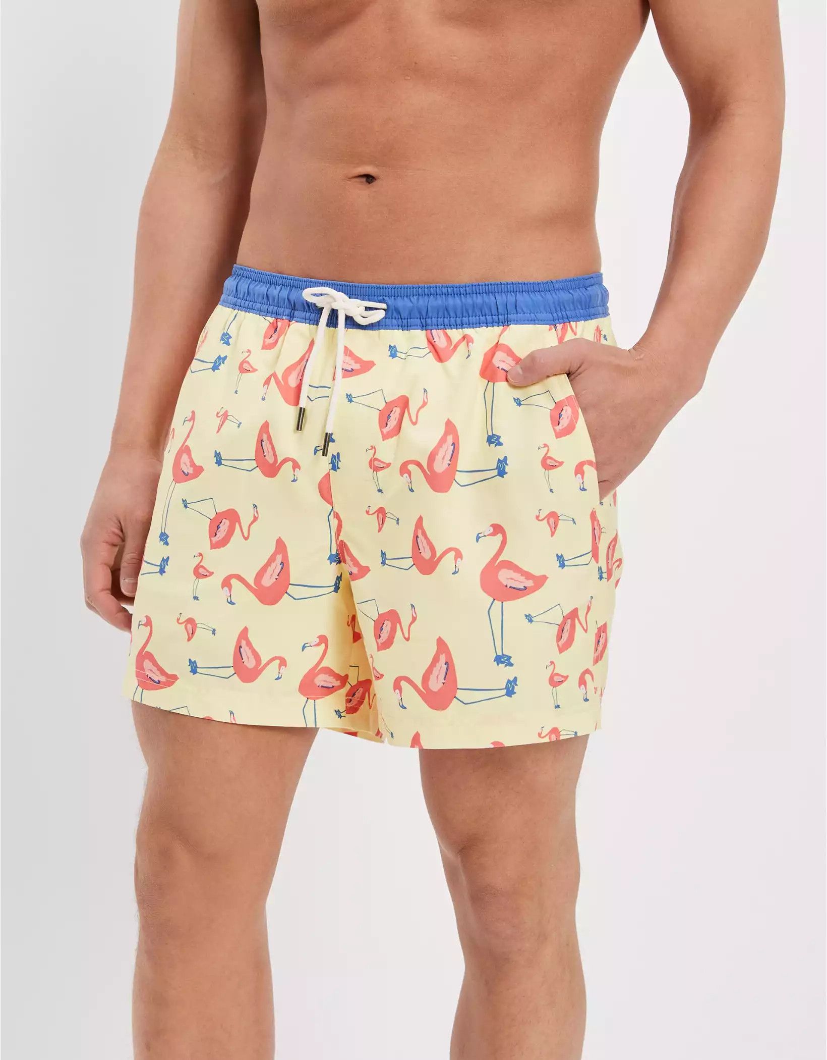 AE 5.5" Tropical Swim Trunk | American Eagle Outfitters (US & CA)