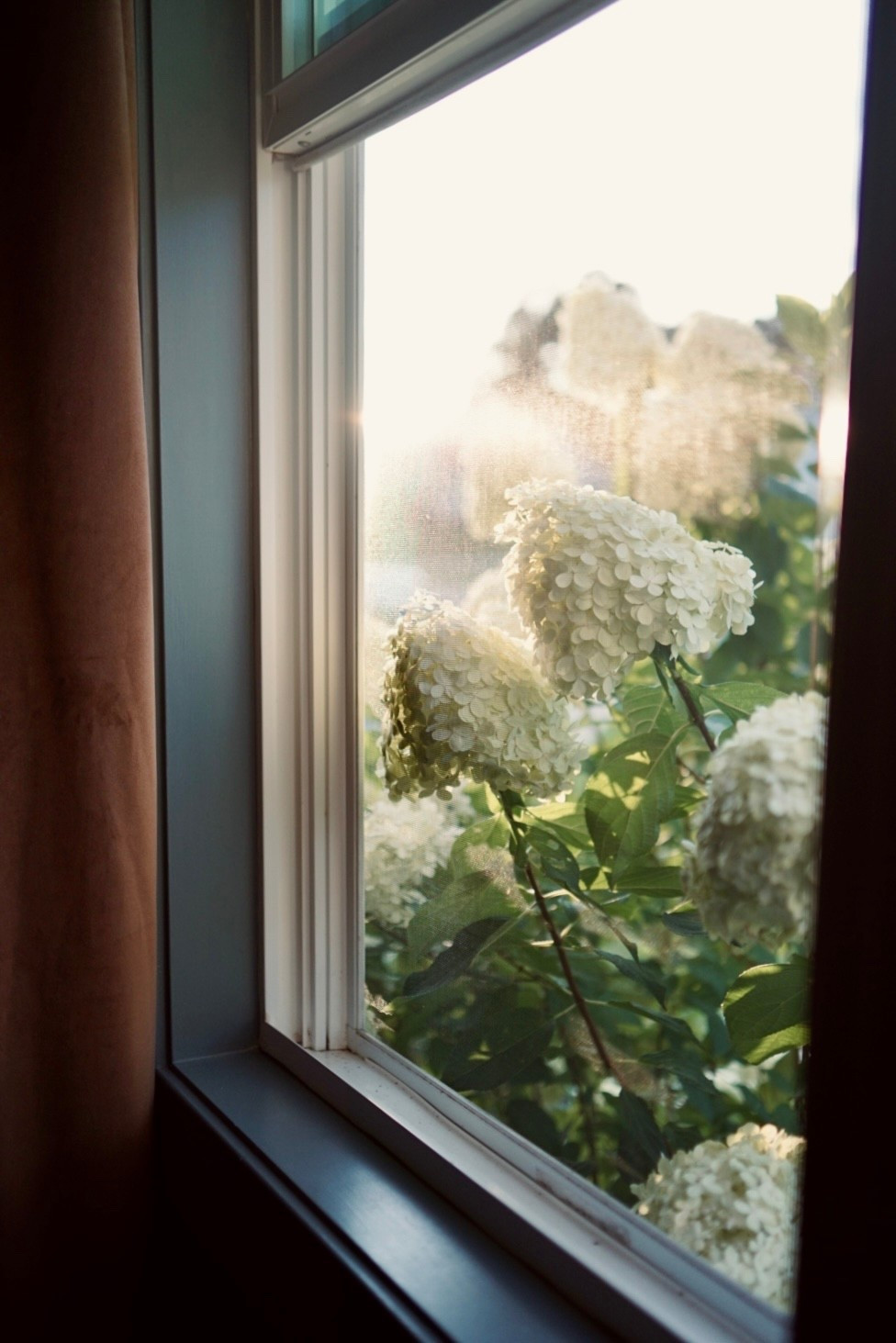 There’s just something about the right color pairing that makes a room come alive. These deep caramel curtains against our blue walls have completely changed the atmosphere in this space—cozy, elevated, and full of depth.

The rich caramel tone adds warmth and grounding while the blue walls bring calm and balance. Together, they feel timeless yet bold, creating that layered, intentional look I’m always aiming for in our home. 

Curtains are one of those details that people often overlook, but they truly frame a room—softening the edges, drawing the eye upward, and pulling the whole design together. I’ve linked our exact curtains, plus some other beautiful options in the same tone if you’re looking to try out this pairing in your own space.

Sometimes it’s the simplest changes that make the biggest impact.

Home paint colors
Amazon home
Paint colors
Moody paint
Color scheme


#LTKStyleTip #LTKHome