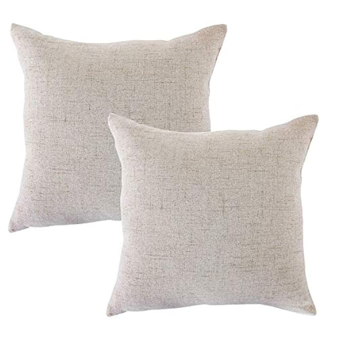 ALBAD Linen Pillow Covers 20 x 20 Inch Sets of 2 French Gray Decorative Square Throw Pillow Cover Cu | Amazon (US)