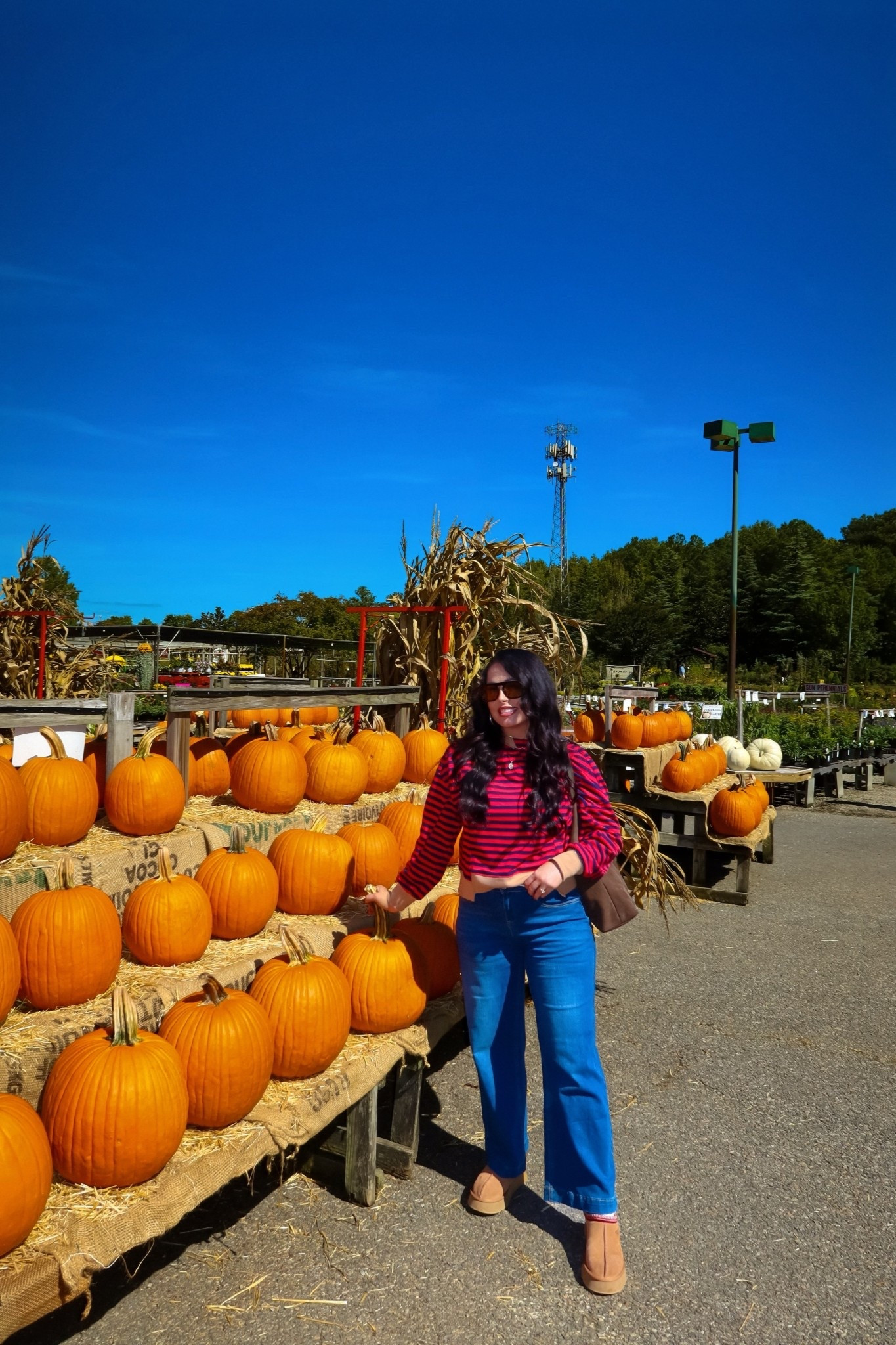 Amazon striped sweatshirt (small), under $30 Amazon denim stretchy pants (medium), Ugg tazz slippers and Amazon suede bag #founditonamazon 

#LTKFindsUnder50 #LTKSaleAlert #LTKShoeCrush