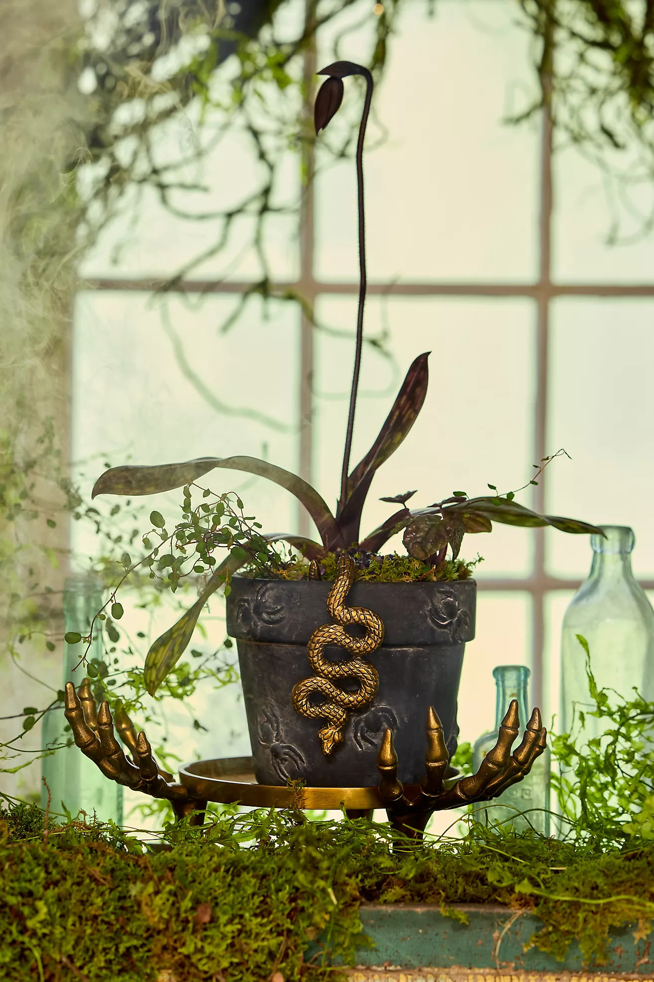 Terrain Terrain Spider Stoneware Pot | Anthropologie (US)