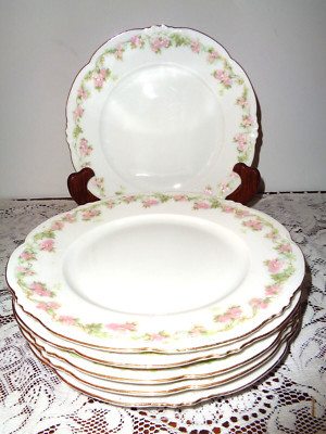 ANTIQUE HABSBURG CHINA 6  M Z AUSTRIA SALAD PLATES-PINK FLOWER VINES-M. ZDEKAUER  | eBay | eBay US
