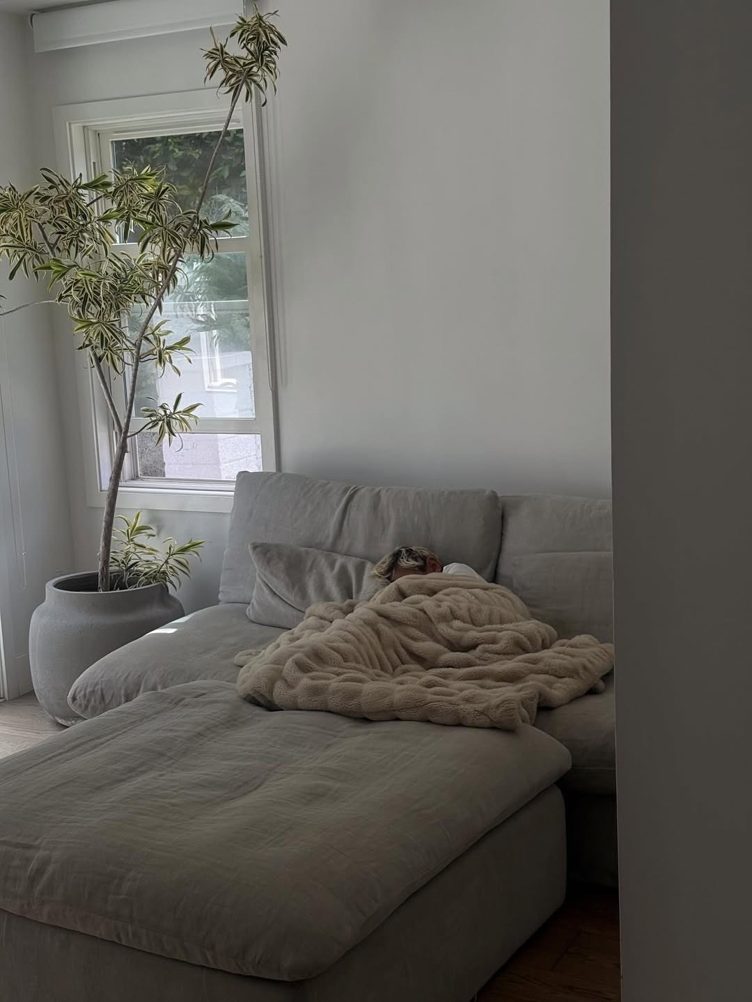 The absolute coziest blanket!

#LTKSeasonal #LTKHome