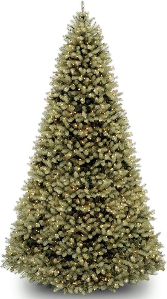 National Tree Company 9 ft Pre-Lit Downswept Douglas Fir Artificial Christmas Tree, 900 LED Light... | Amazon (US)