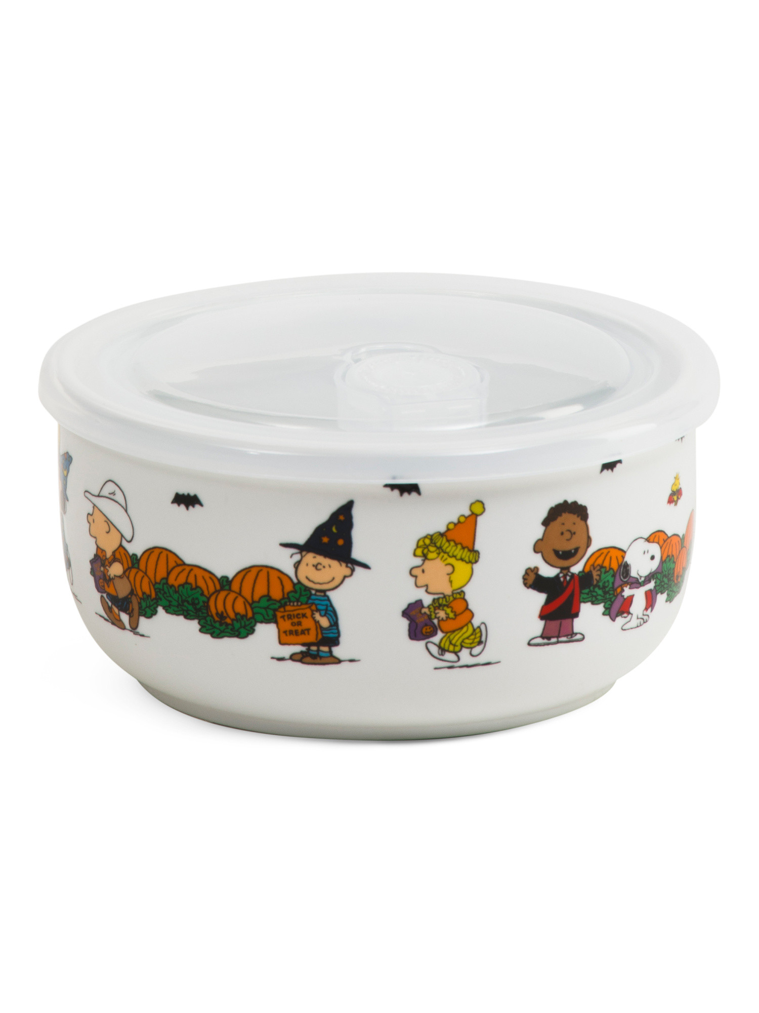 Snoopy And The Gang Costumes Covered Bowl | TJ Maxx