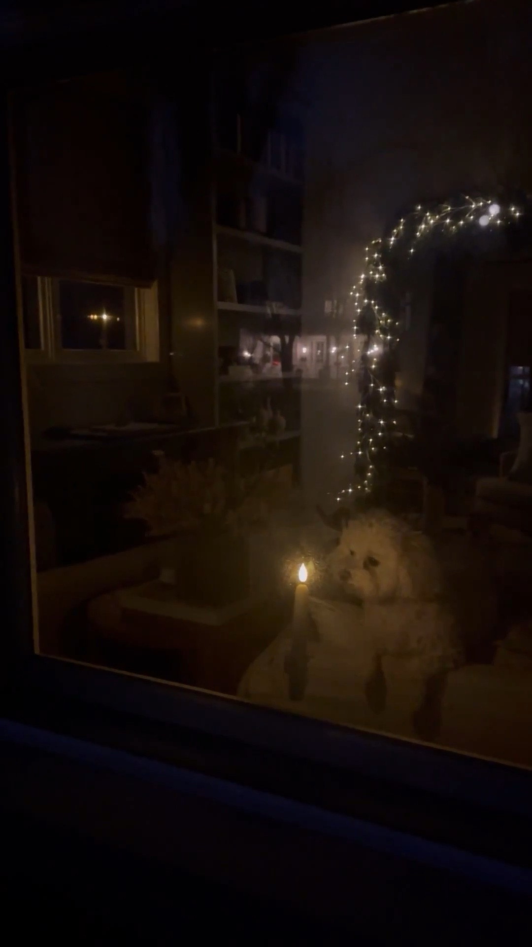 Amazon Christmas decor to snag now. These sensor candles look so realistic are easy to suction onto your windows, safe for kids and pets and create a perfect holiday glow!

Follow my LTK @lifeoncedarlane on the @shop.LTK app to view this post and get my exclusive app-only content!

#LTKHome #LTKFindsUnder50 #LTKHoliday


https://liketk.it/5vDHG

#LTKHoliday #LTKFindsUnder50 #LTKHome