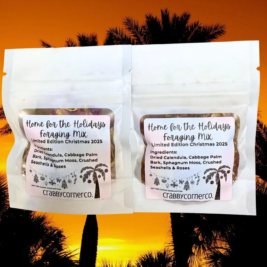 Home for the Holidays Foraging Mix | Hermit Crab Foraging - Etsy | Etsy (US)