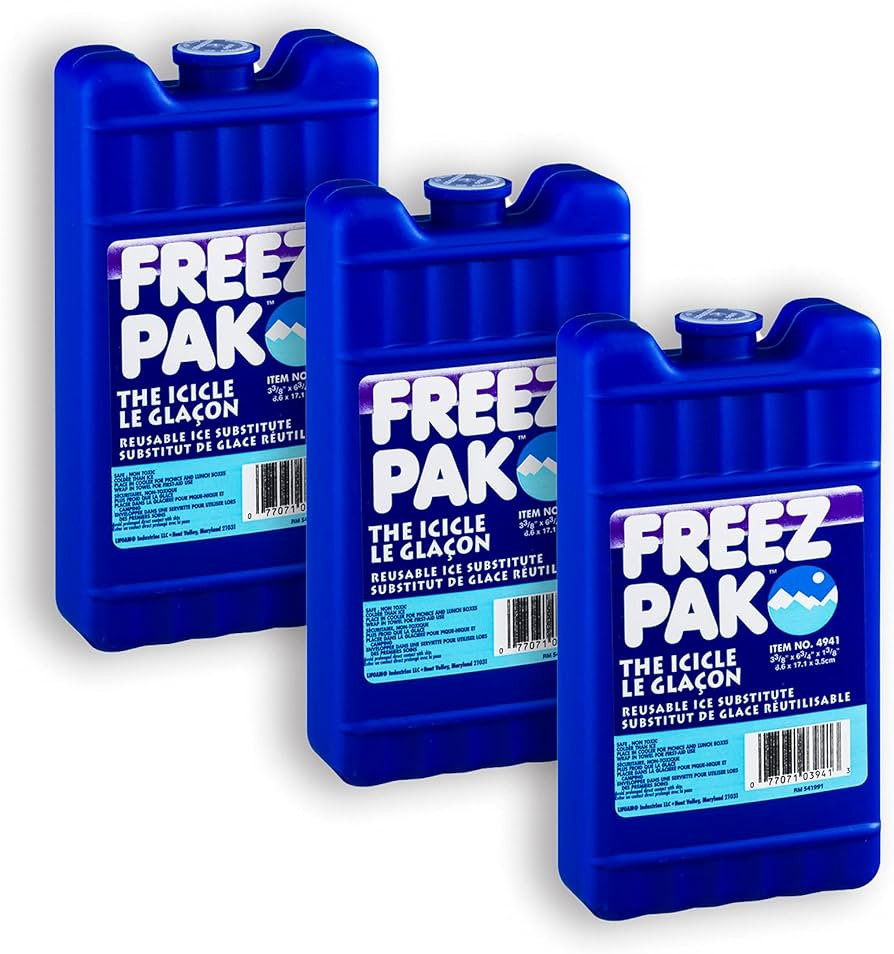 Freez Pak (3 Pack) Reusable Ice Packs, Small | Amazon (US)
