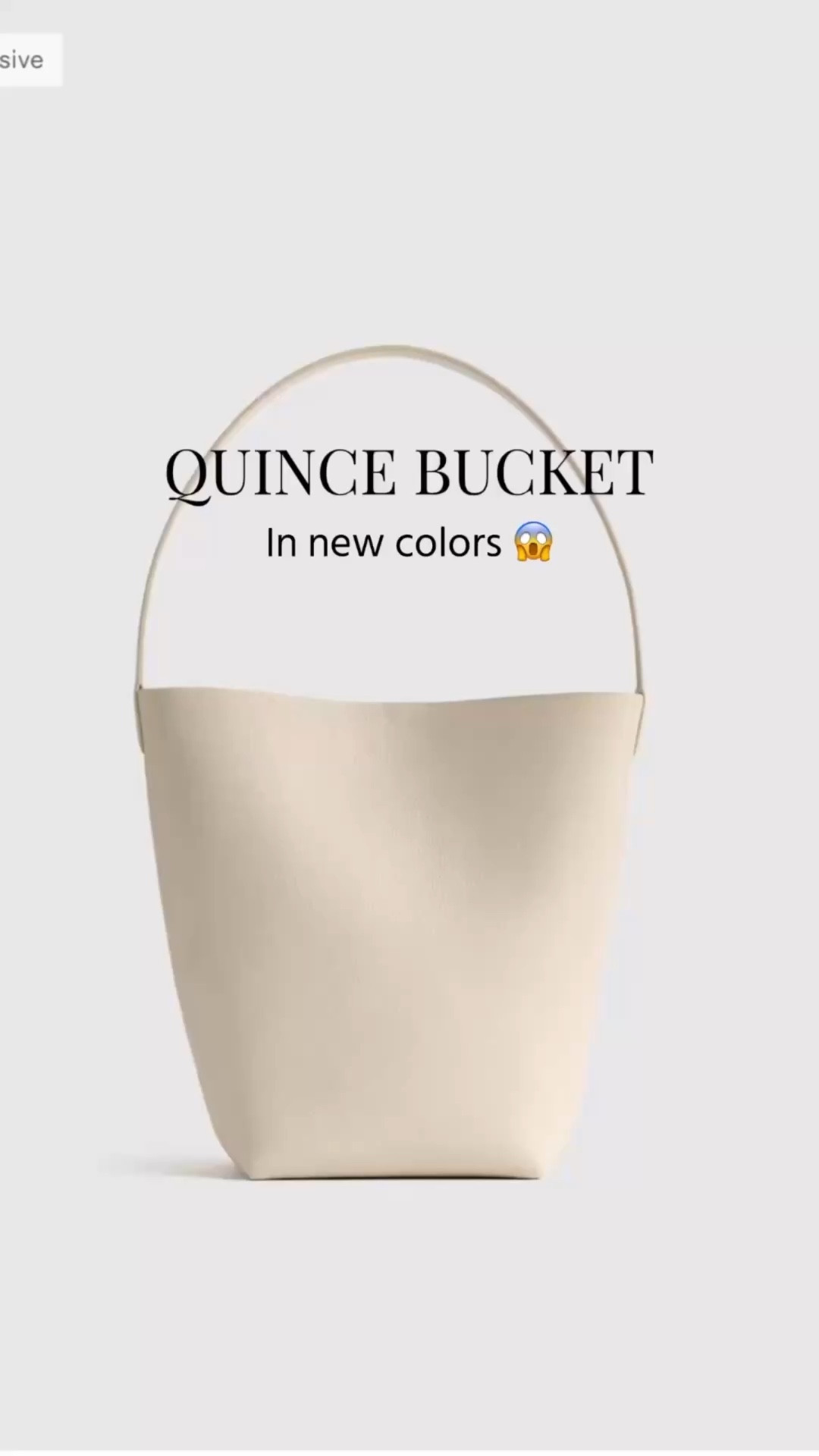 This is not a drill!   Quince bucket bag in new colors. I ordered the ivory and cognac

