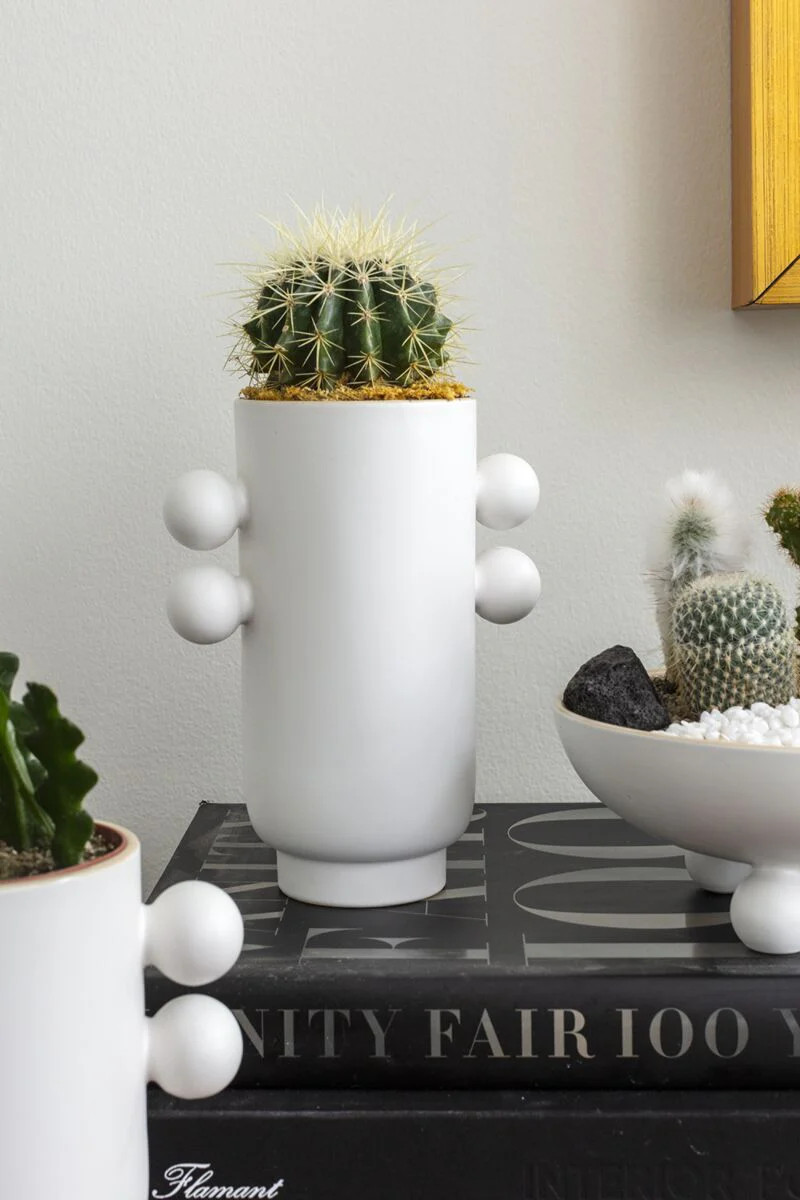 Farley Vase Collection | Auden & Avery