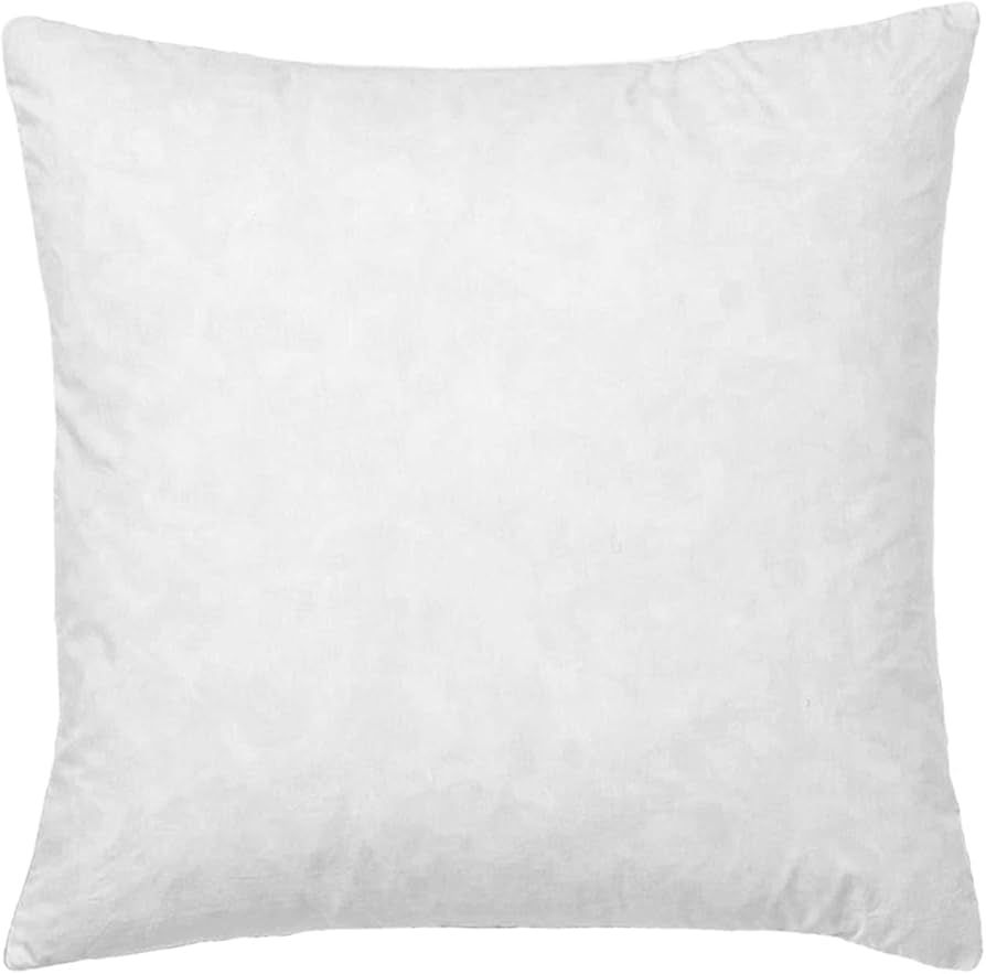 28x28 Euro Throw Pillow Insert-Down Feather Pillow Insert-Cotton Fabric-White-1 Piece | Amazon (US)