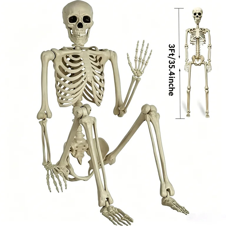 35" Halloween Skeleton Decoration \u2013 3 ft Body with Posable Joints for Indoor & Outdoor Yard ... | Walmart (US)