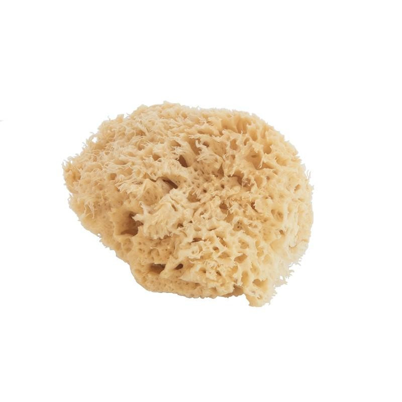 Wool Sea Sponge | McGee & Co.