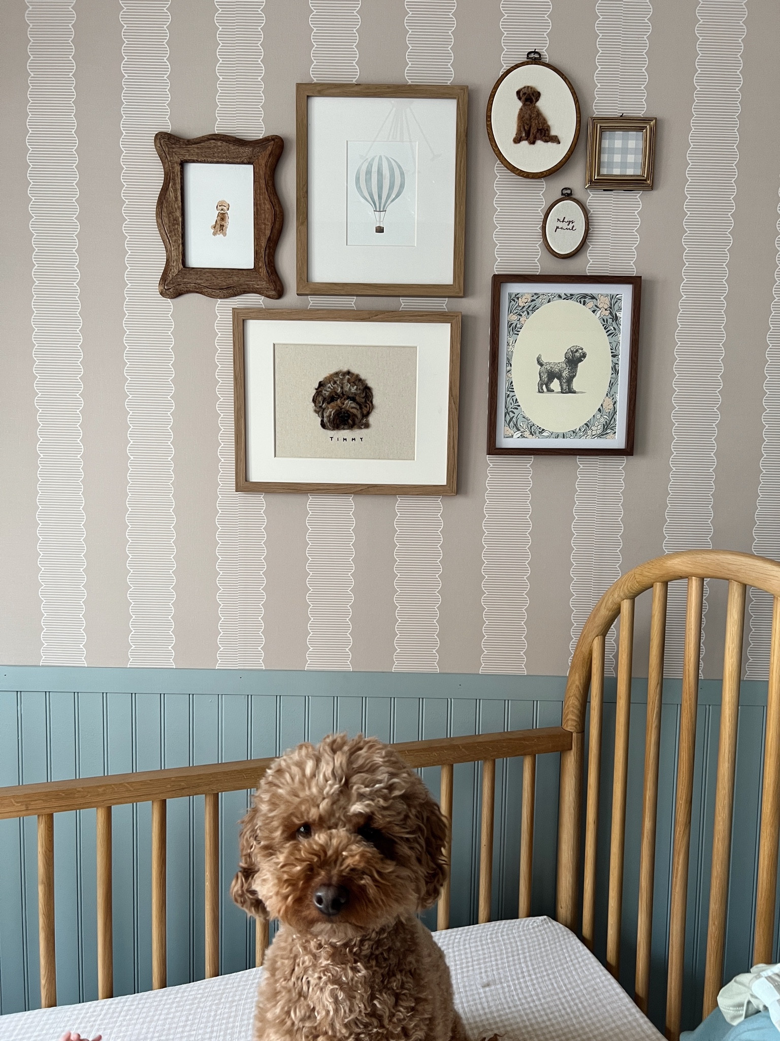 Timmy posing with his gallery wall in my sons nursery 

#LTKHome #LTKBaby