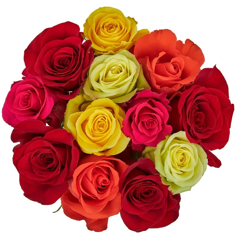 Fresh-Cut Dozen Roses, 12 Stems Assorted Rainbow Colors, Colors Vary | Walmart (US)