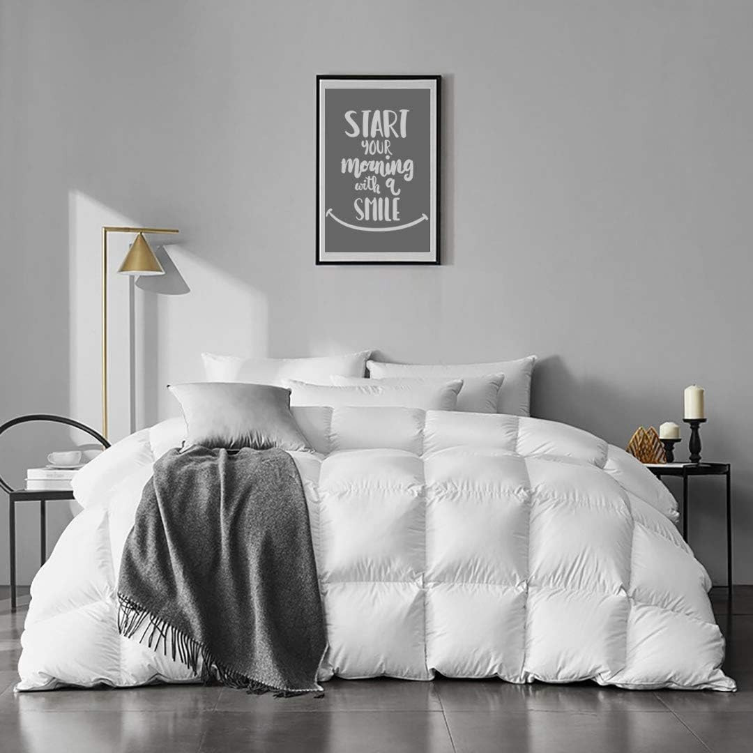 APSMILE Queen Size Feathers Down Comforter  | Amazon (US)
