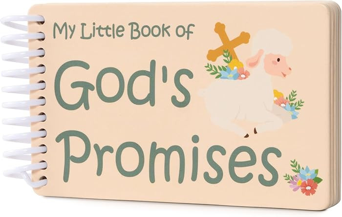 God's Promises Book 5×3×0.5 in - Baptism Gifts Idea for Boys Girls Baby Kid Godson Goddaughter ... | Amazon (US)