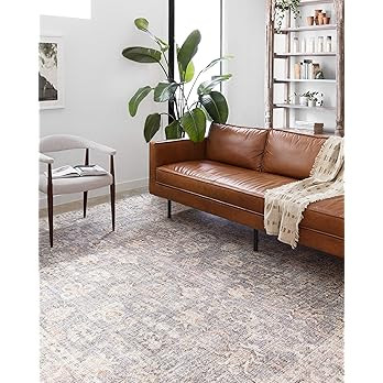 Loloi II Skye Collection SKY-01 GREY / APRICOT, Traditional 9'-0" x 12'-0" Area Rug | Amazon (US)