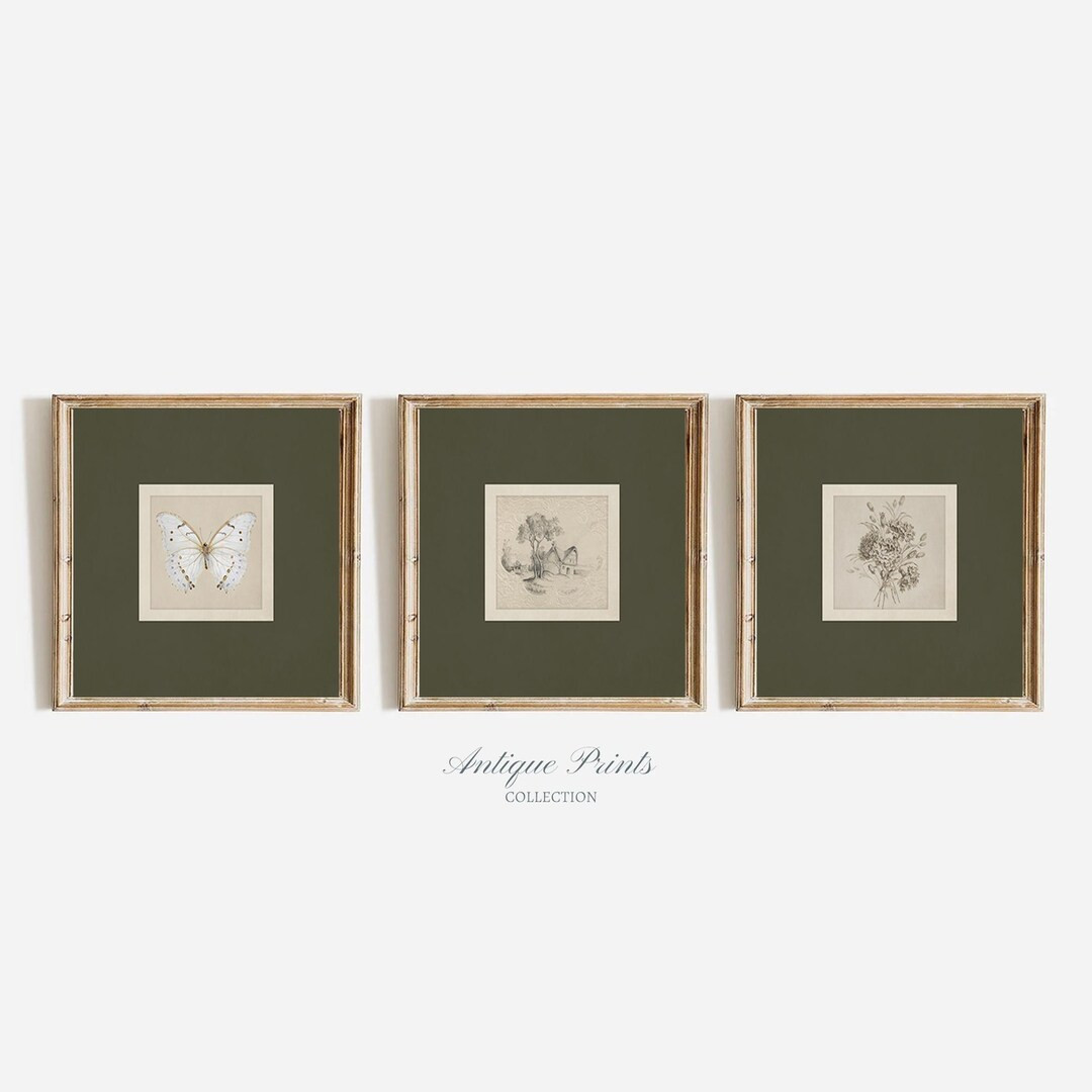 Square Prints Set of 3, Neutral Botanical Drawing, Vintage Sketch Gallery Wall Set, Butterfly Wal... | Etsy (US)