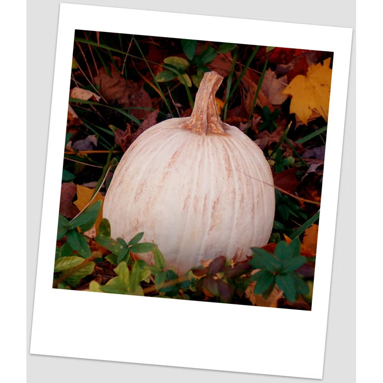 Medium Pumpkin Figurine | Wayfair North America