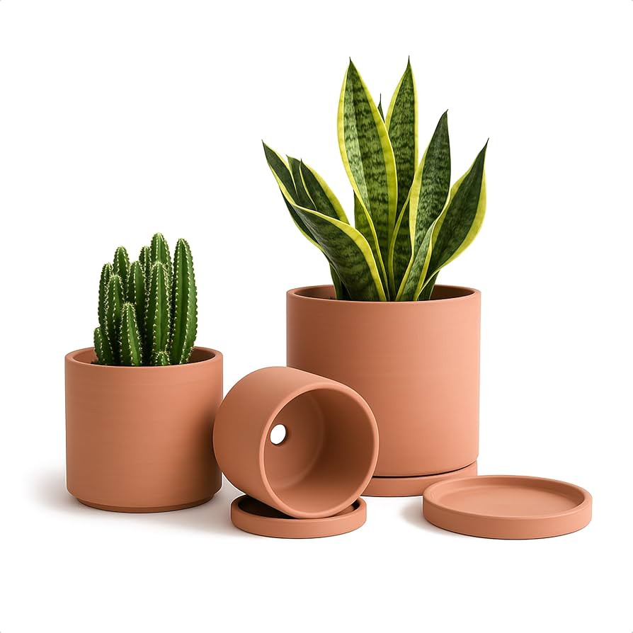 D'vine Dev Terracotta Pots for Plants, 4.2 Inch 5.3 Inch 6.5 Inch, Succulent Planter Pot with Dra... | Amazon (US)