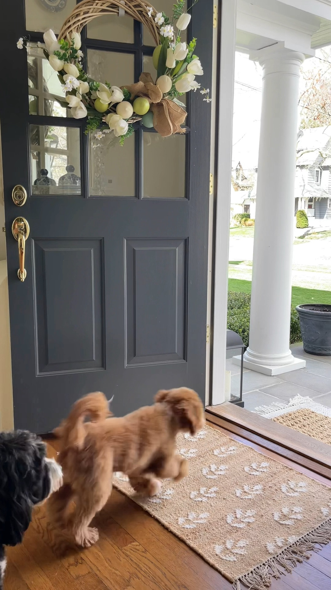 🚨Restock alert!!🚨 on this Erin Gates inspired block print bloom orchard rug!! Love the tassels on this 2x3 size!! Snag it for under $20!! 🙌🏻🏃🏼‍♀️🏃🏼‍♀️🏃🏼‍♀️

#LTKhome #LTKsalealert #LTKfindsunder50