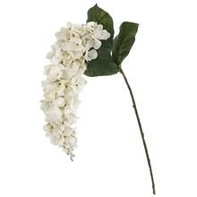 White Hanging Hydrangea Stem by Ashland® | Michaels Stores
