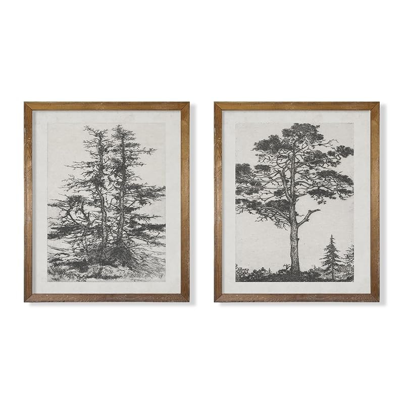 Grey Neutral Forest Tree Sketch Drawing Etching - Modern Farmhouse Botanical Wall Art - Beige Nat... | Amazon (US)