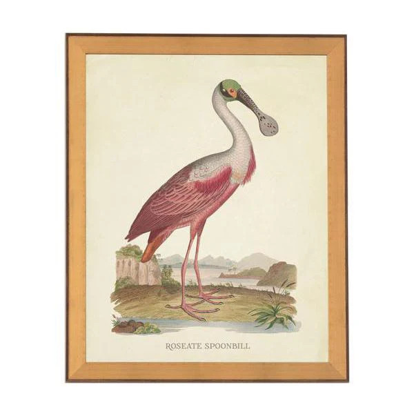 White Spoonbill Print | Caitlin Wilson Design