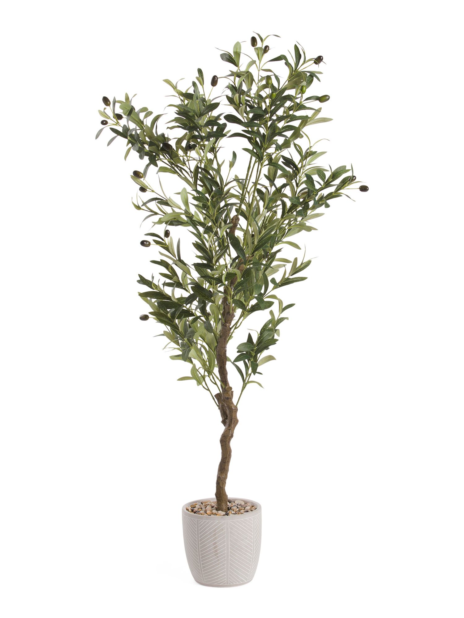 51in Olive Tree In Cement Pot | Marshalls