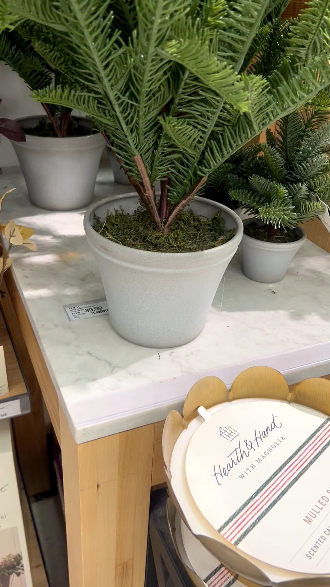 Hearth & Hand Holiday Trees & Stems 

These Magnolia faux trees are realistic and perfect to add to your holiday decor  

#LTKHoliday #LTKHome #LTKSeasonal