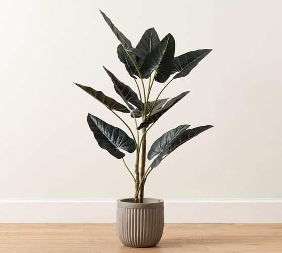 Faux Alocasia Tree - 5' | Pottery Barn (US)