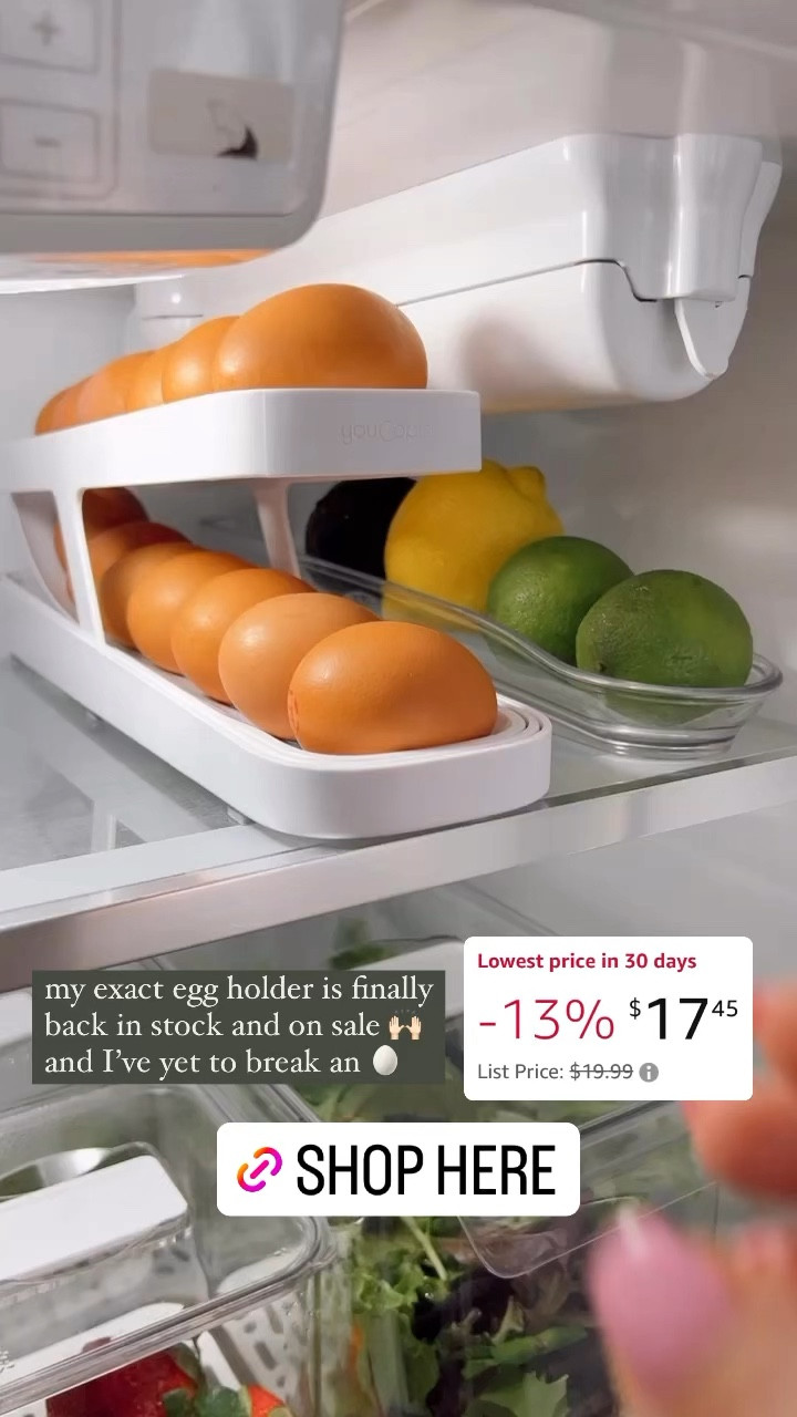 YouCopia Rolldown Refrigerator Egg Dispenser
