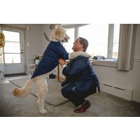 Handmade Navy Dog Tuxedo Emerald Bow Tie, Custom Wedding Outfit | Etsy (US)