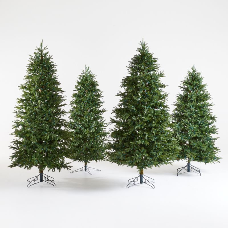 Barcana Alaskan Deluxe LED Christmas Trees with White Lights | Crate and Barrel | Crate & Barrel