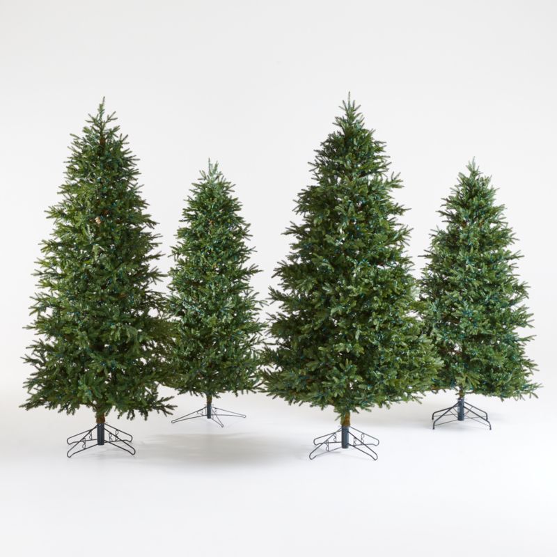 Barcana Alaskan Deluxe LED Christmas Trees with White Lights | Crate and Barrel | Crate & Barrel
