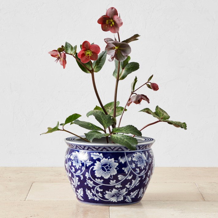 Blue & White Ceramic Planter, Medium | Williams-Sonoma