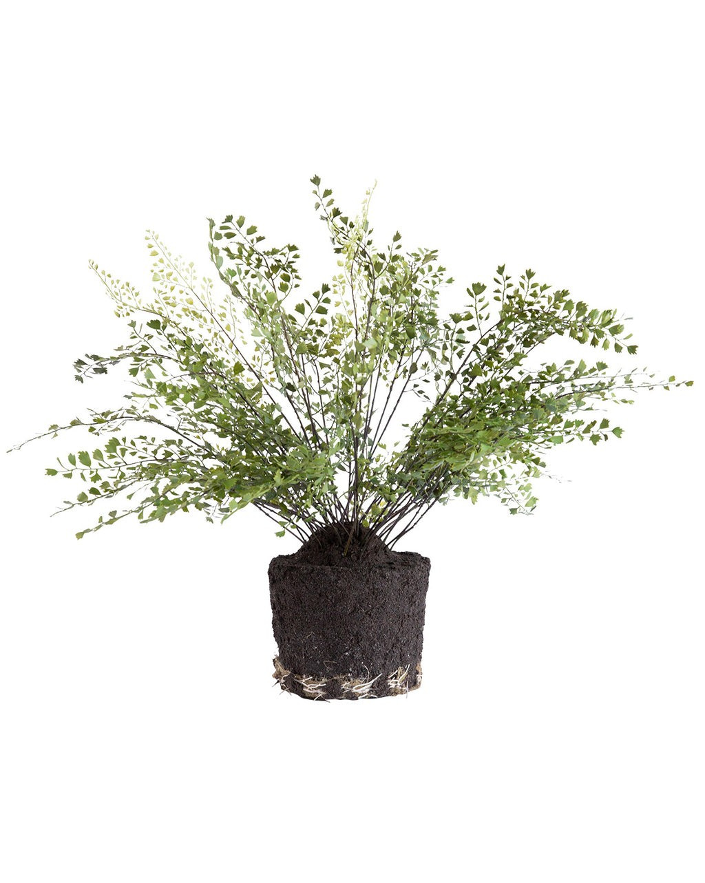 Faux Maiden Hair Drop-In | McGee & Co.