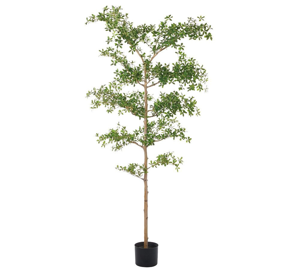Faux Gregorywood Tree | Pottery Barn (US)