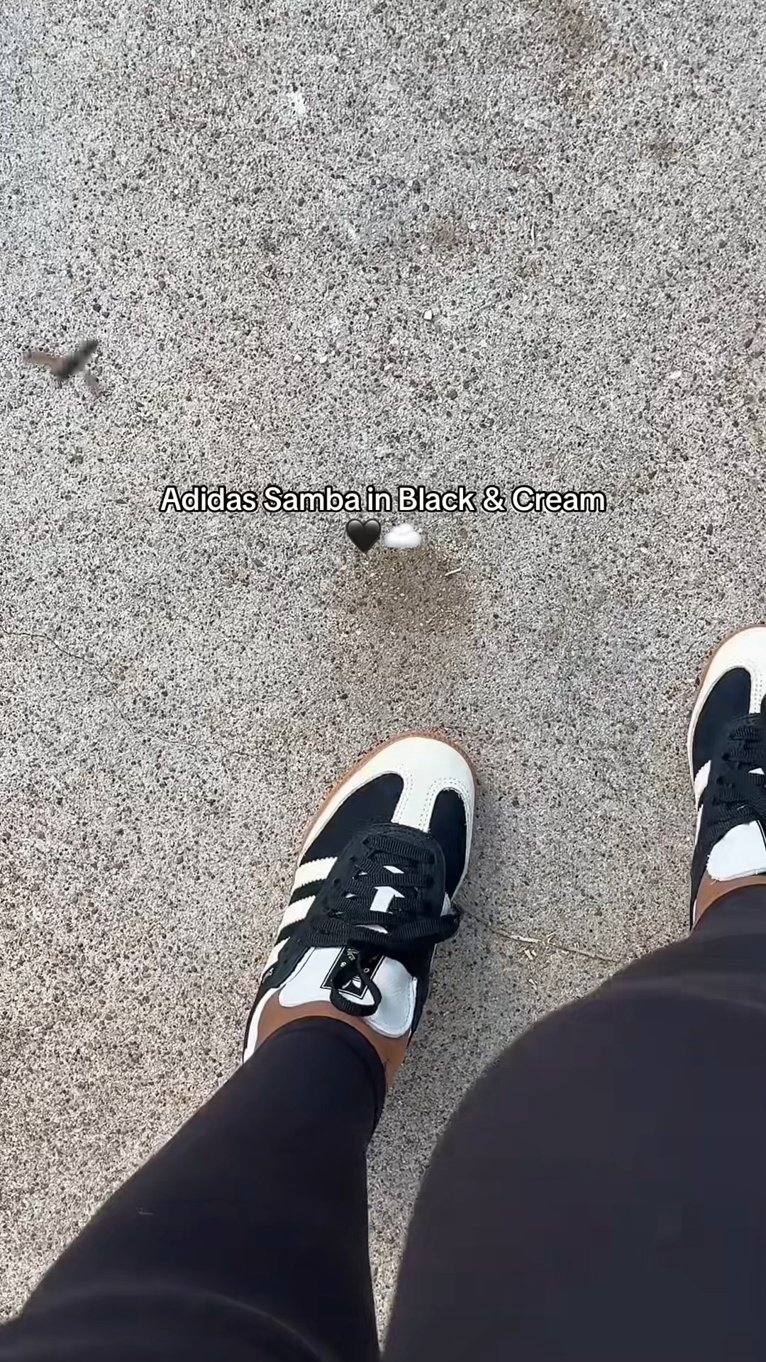 New sneakers -  size down 1/2 or 1 
Sneakers 
Adidas 
Adidas samba 
Samba 
Shoes 

Follow my LTK @styledbylynnai on the @shop.LTK app to view this post and get my exclusive app-only content!

#liketkit 
@shop.ltk
https://liketk.it/5v0nF

Follow my LTK @styledbylynnai on the @shop.LTK app to view this post and get my exclusive app-only content!

#liketkit 
@shop.ltk
https://liketk.it/5v7IZ

Follow my LTK @the_lynnai on the @shop.LTK app to view this post and get my exclusive app-only content!

#liketkit #LTKStyleTip 
@shop.ltk
https://liketk.it/5xgRz

Follow my LTK @the_lynnai on the @shop.LTK app to view this post and get my exclusive app-only content!

#liketkit   
@shop.ltk
https://liketk.it/5xRfW

Follow my LTK @the_lynnai on the @shop.LTK app to view this post and get my exclusive app-only content!

#liketkit #LTKHoliday #LTKGiftGuide #LTKCyberWeek #LTKootd #LTKGiftGuide #LTKCyberWeek #LTKGiftGuide #LTKHoliday
@shop.ltk
https://liketk.it/5AcGu