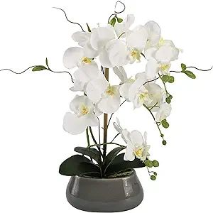 Faux White Orchid Artificial Flowers Phalaenopsis Plants with Vase for Home Kitchen Office Desk T... | Amazon (US)