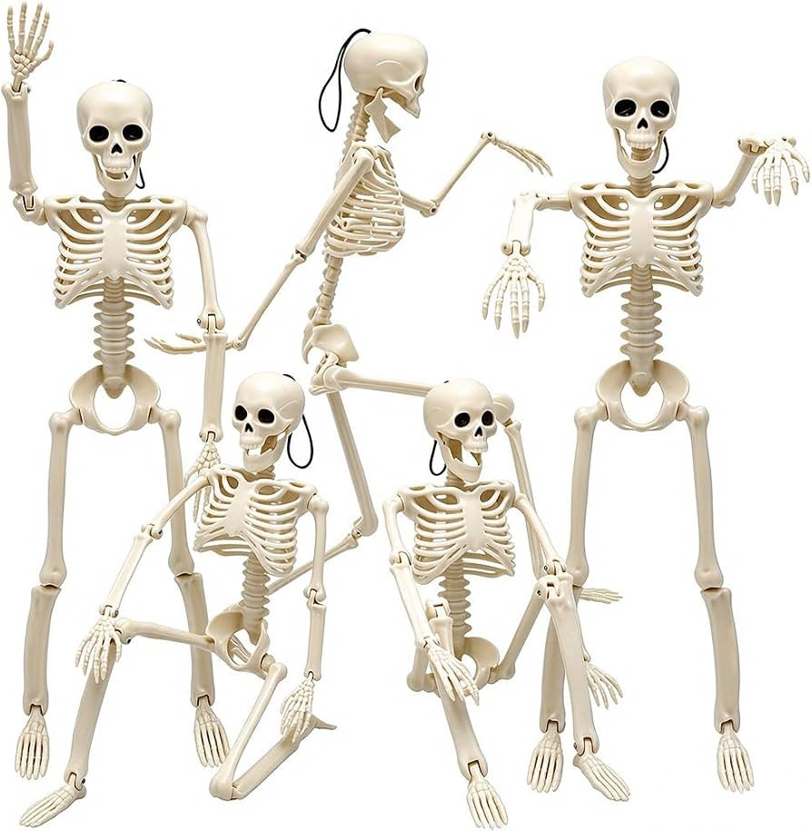 WODMAZ 5 Packs Halloween Skeletons, 16" Halloween Full Body Skeleton with Posable Joints for Haun... | Amazon (US)