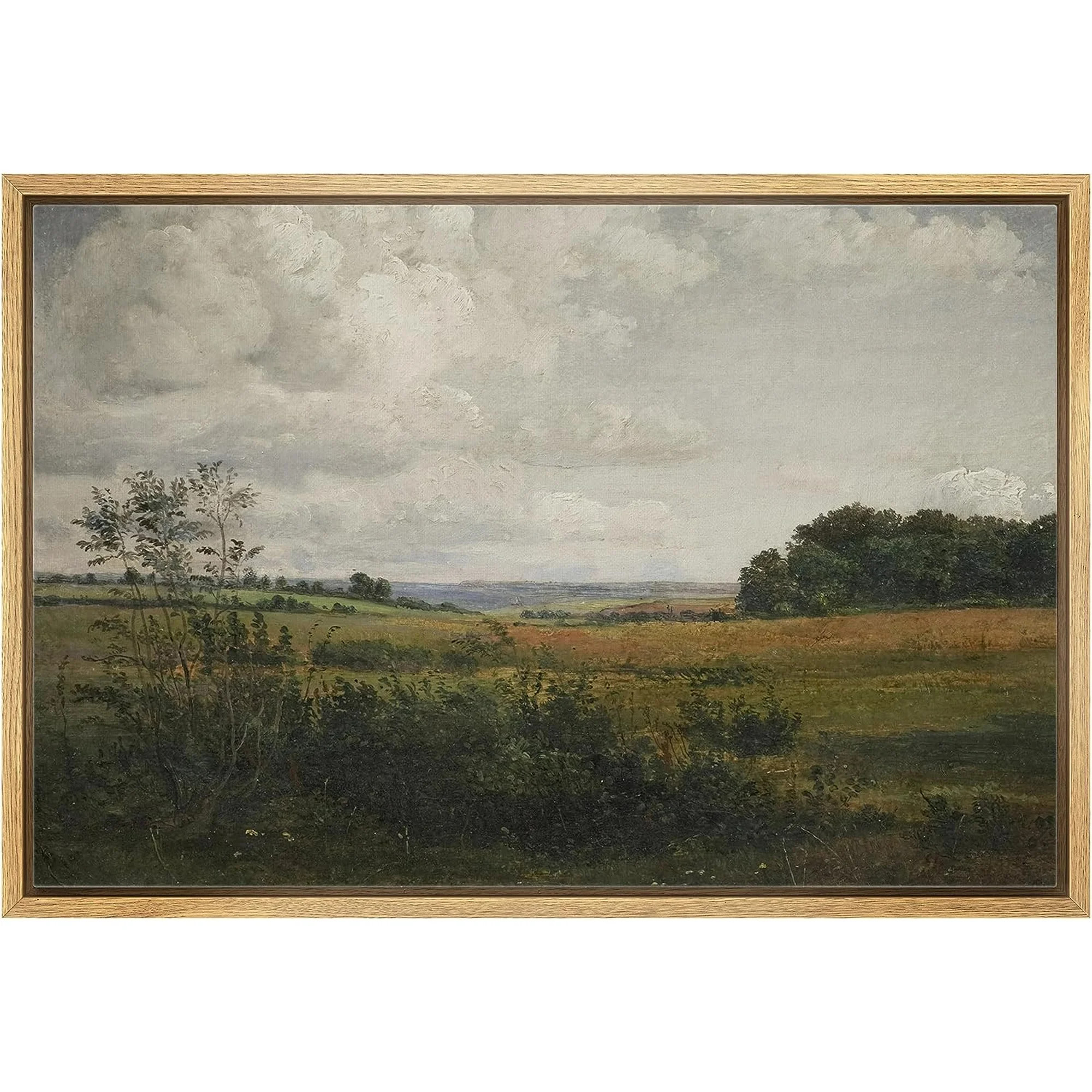 PixonSign Framed Canvas Print Wall Art Rustic Rural Storm Cloud Country Landscape Nature Wilderne... | Walmart (US)